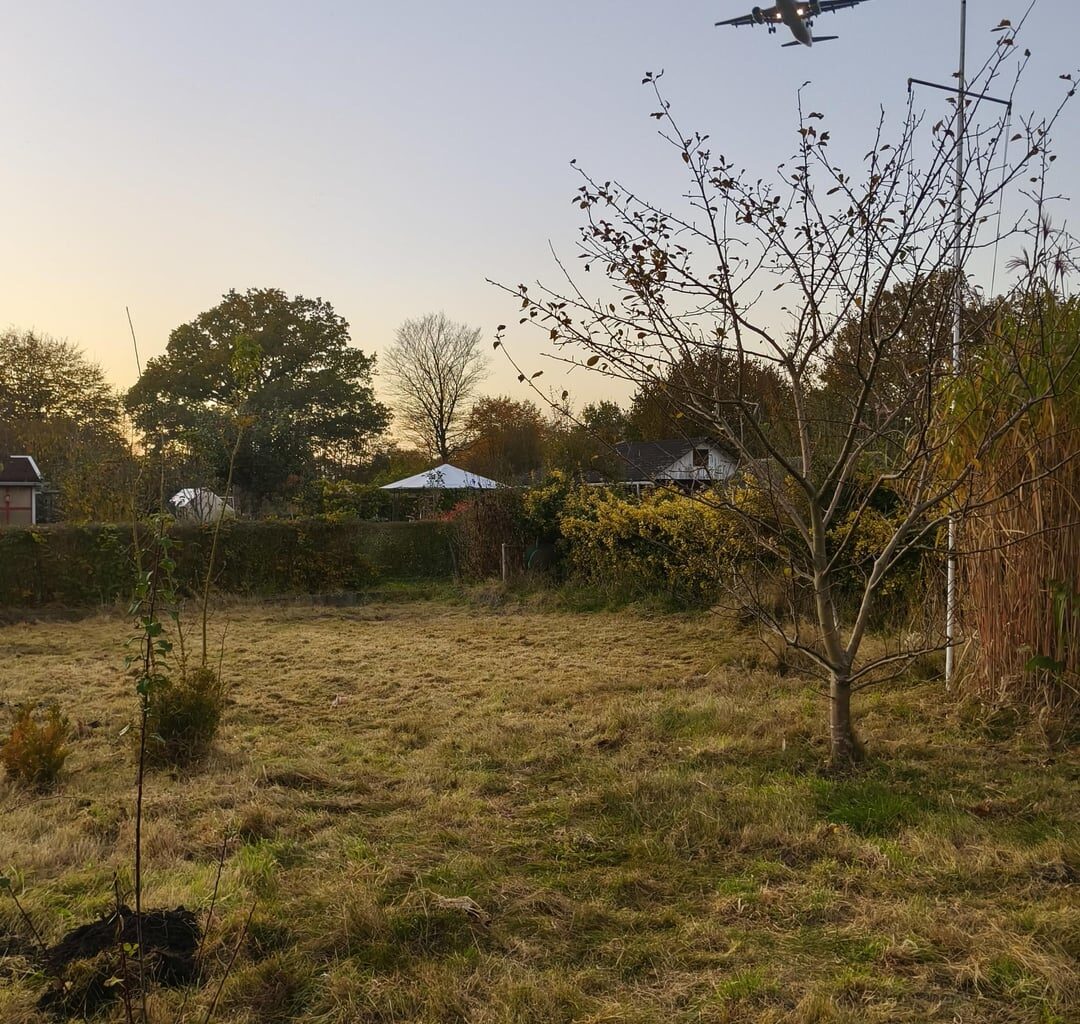 Schrebergartenneuling: Was jetzt vorbereiten?