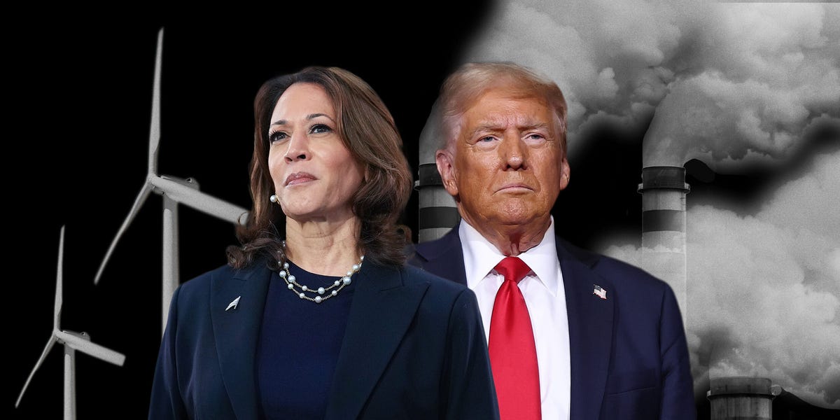 Where Kamala Harris and Donald Trump Stand on Climate Change