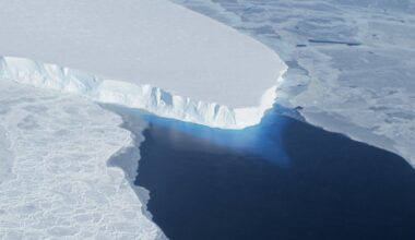 Antarctic glacier the size of Florida more vulnerable to warming than previously thought, experts warn » Yale Climate Connections