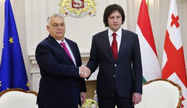 Orbán praises Georgian election as he faces backlash from EU countries over 'premature' visit