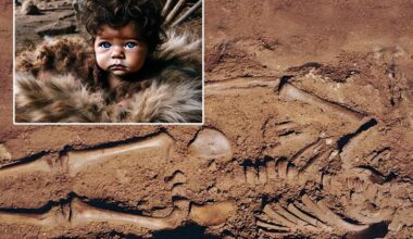 17,000-year-old blue-eyed baby found in Italy