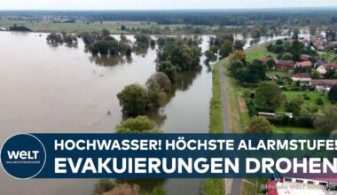 HOCHWASSER AN DER ODER: Höchste Warnstufe! Pegel steigt - Evakuierungen drohen!