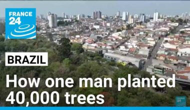 'Crazy' tree planter greening Sao Paulo concrete jungle • FRANCE 24 English