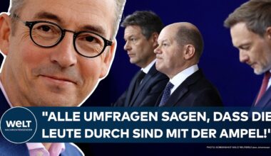 BRANDENBURG: "Alle Umfragen sagen, dass die Leute durch sind mit der Ampel!" - Jan Fleischhauer