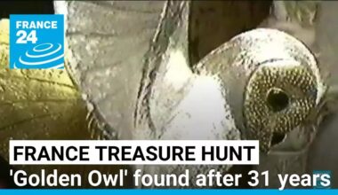 French 'Golden Owl' treasure hunt ends after 31 years • FRANCE 24 English