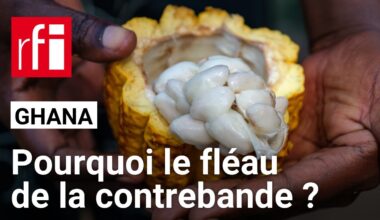 Ghana - Cacao : comment expliquer l'ampleur de la contrebande ? • RFI