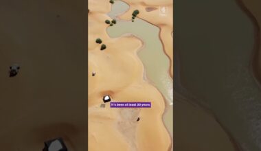 Sahara Desert floods