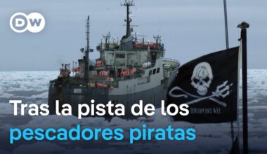 El difícil combate contra la explotación de los mares | DW Documental