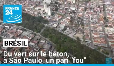 Brésil : du vert sur le béton, à São Paulo, un pari "fou" • FRANCE 24