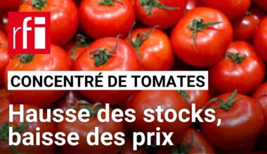 Concentré de tomates : boom des exportations, hausse des stocks et baisse des prix • RFI