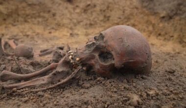 Fifty 'exceptionally well-preserved' skeletons unearthed at Danish Viking burial ground