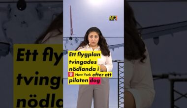 Flyg tvingades nödlanda – pilot dog