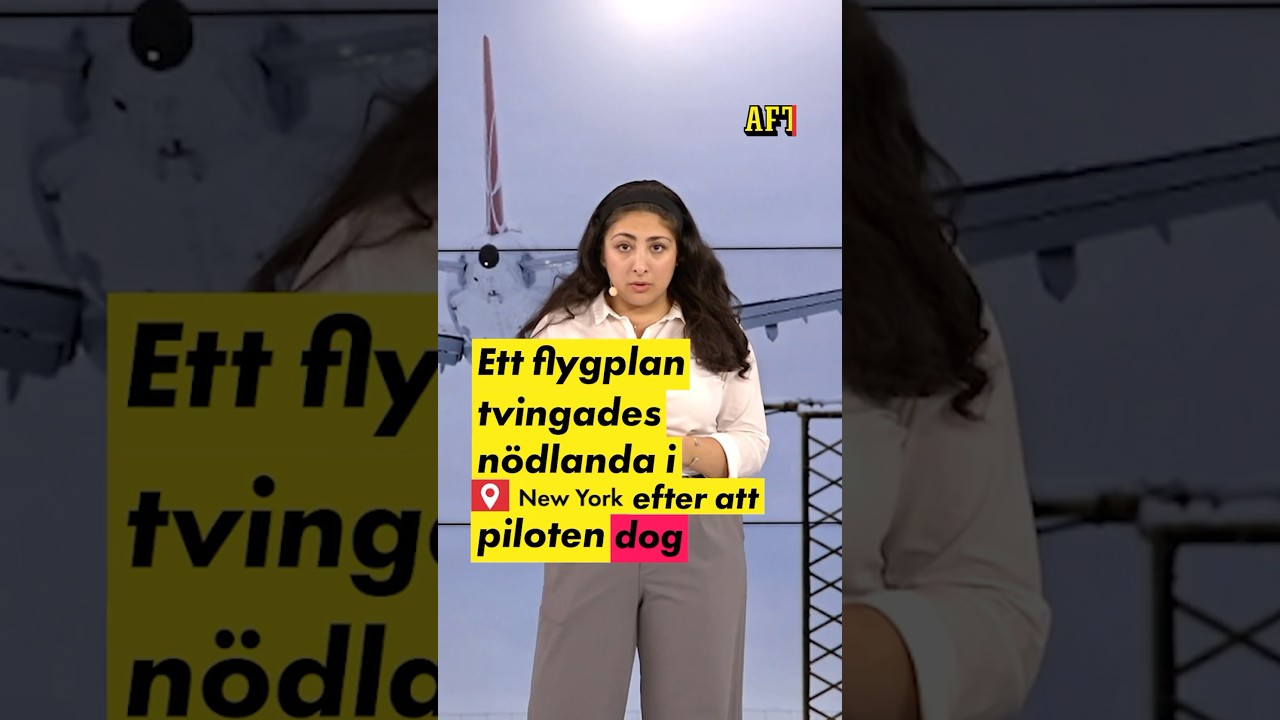 Flyg tvingades nödlanda – pilot dog