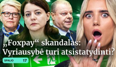 FOXPAY | KUR NAVICKIENĖ | BOMBINIS BIUDŽETAS | One Direction | PASAULINIS KARAS | Tiek žinių