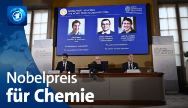 Chemie-Nobelpreis geht an drei Proteinforscher