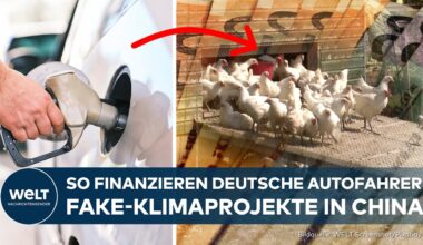 ABZOCKE IN MILLIARDENHÖHE: Deutsche Autofahrer finanzieren Fake-Klimaprojekte im Ausland