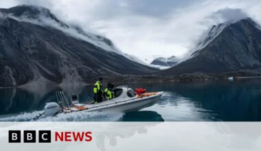 Greenland tsunami shook earth for nine days | BBC News