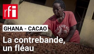 Le Ghana a perdu 160 000 tonnes de cacao à cause de la contrebande cette saison • RFI