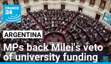 Argentina MPs back Milei's veto of university funding • FRANCE 24 English