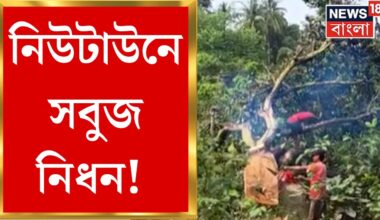 NewTown Deforestation : নিউটাউনে সবুজ নিধন! দেদার কাটা হচ্ছে একের পর এক বড় গাছ। Bangla News