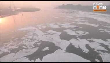 Delhi's Yamuna River : Toxic Foam Surfaces Amid Rising Pollution Levels | Air pollution | News9