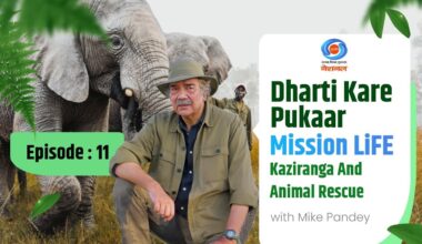 Dharti Kare Pukaar | Kaziranga National Park & Animal Rescue | Mike Pandey | Ep # 11