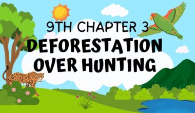 Deforestation and Over Hunting | Biology Class 9 | Chapter 3 | All Boards