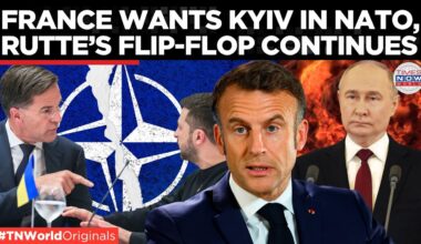 France Backs Zelensky's NATO Membership Bid, Mark Rutte Goes Lukewarm | Times Now World