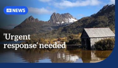 Call for Tasmanian Government to act on 'scathing' State of Environment report | ABC News