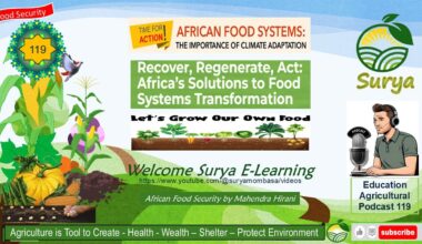 African Food System Need for Climate adaptation Recover Regenerate Act Food Transformation