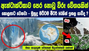 ඇන්ටාක්ටිකාව වේගයෙන් කොලපාට වෙනවා මුහුදු මට්ටම මීටර් 60කින් ඉහල යාවිද? |Climate change in Antarctica