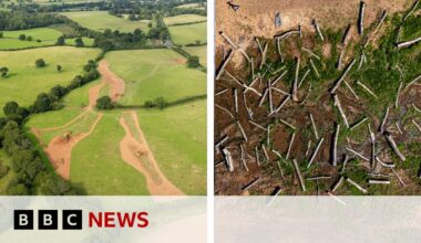 What happens when you set a river free? | BBC News