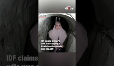 Yahya Sinwar's Wife Carrying Handbag Worth $32,000 In Tunnel: Israel