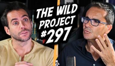 The Wild Project #297 - David Jiménez | Israel está fuera de control, Infiltrado entre los yakuza