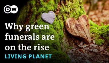 Living Planet: Why green funerals are on the rise