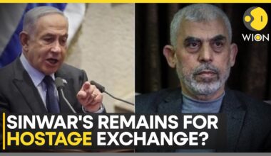 Israel-Hamas War: Israel Weighs in Options to Leverage Custody of Sinwar's Remains | WION