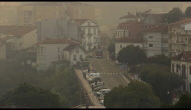 Portugal : scènes de dévastation après l'arrêt de l'incendie à Albergaria-a-Velha