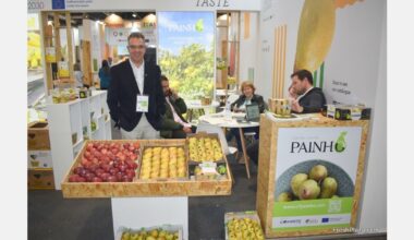 "For the export of pears, Spain, France and Germany are our big bets this season”