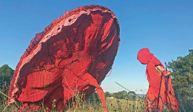 Giant placenta travels to Denmark