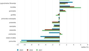 Razpoložljivi dohodek na prebivalca v osrednjeslovenski regiji za 17 % višji kot v pomurski