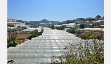 Fair weather tornado wreaks havoc on greenhouse