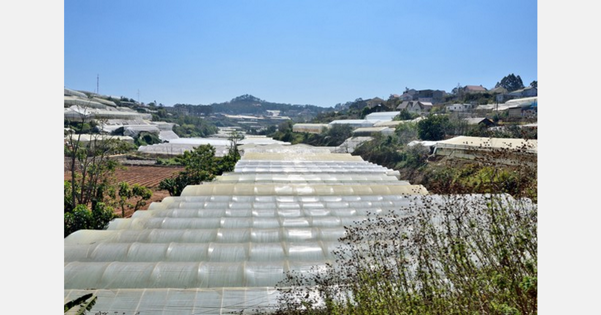 Fair weather tornado wreaks havoc on greenhouse