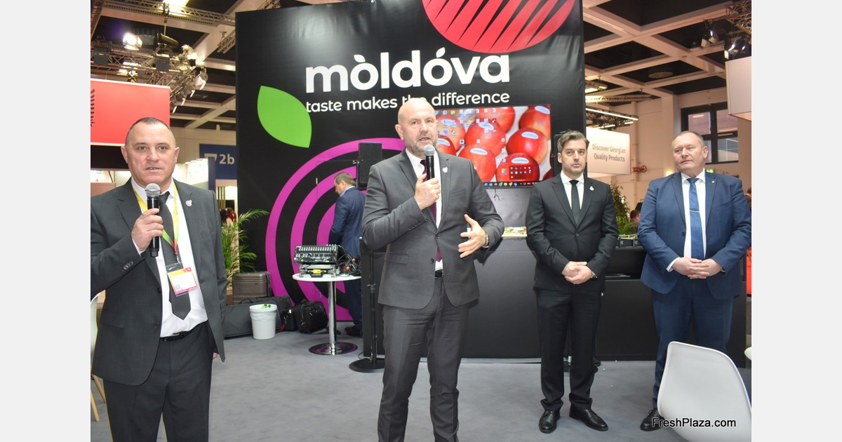 “Moldova has massive export potential”