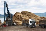 thumbnail: Timber production and transportation. Photo: Getty 