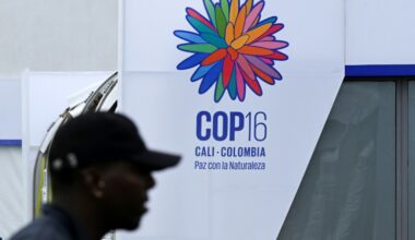 COP 16