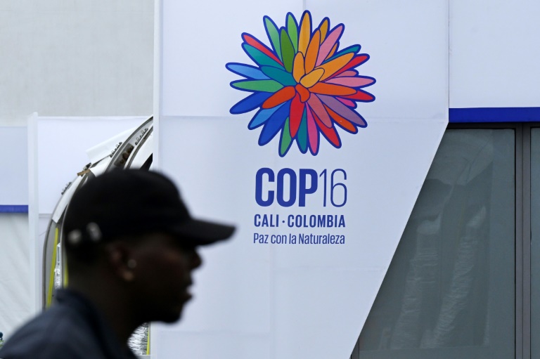 COP 16