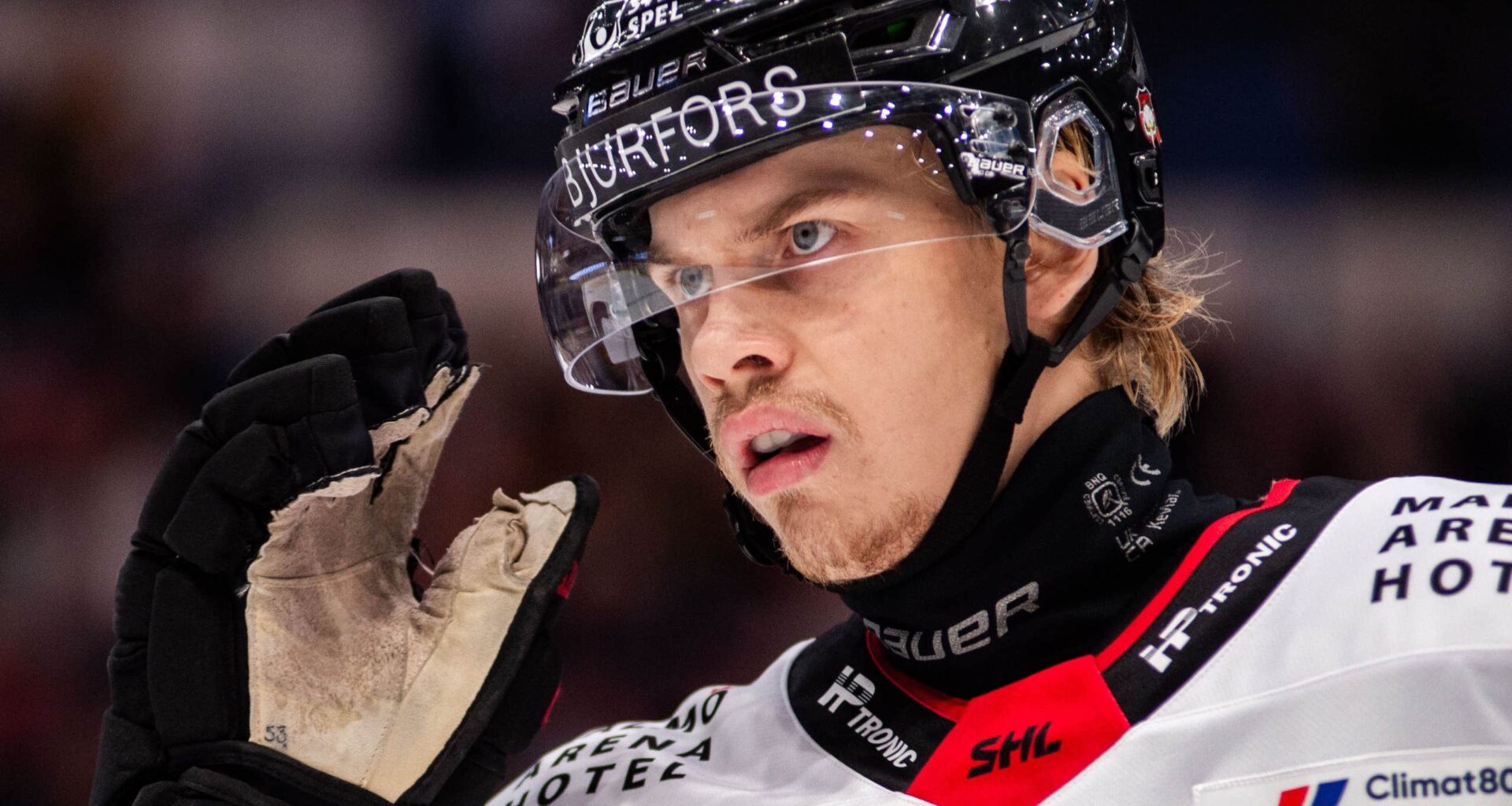 Malmö lånar ut Albert Sjöberg till AIK | SHL