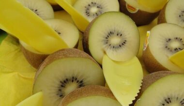 Zespri leaders meet with Italian government | News