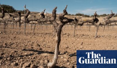 Record levels of heat-related deaths in 2023 due to climate crisis, report finds | Climate crisis