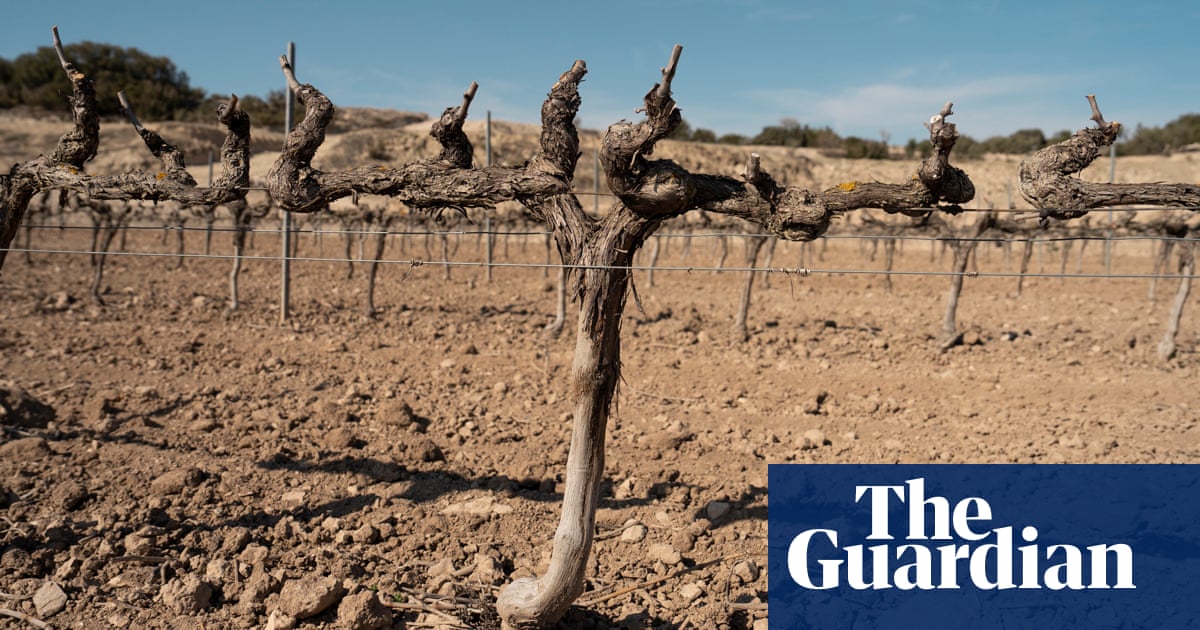 Record levels of heat-related deaths in 2023 due to climate crisis, report finds | Climate crisis